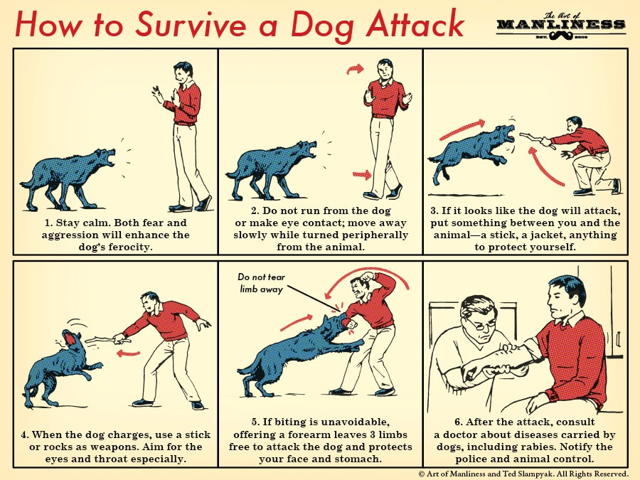 chart on how to survive a dog attack
